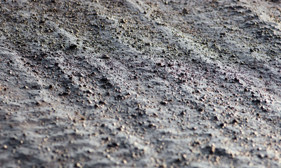 Wet ground after the rain
