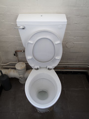 Grubby toilet with lid and seat up