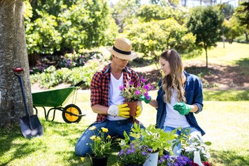 Couple gardening in the park