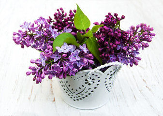 Lilac flowers