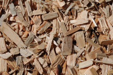 Fresh wooden chips covering the ground, closeup