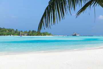 Obraz na płótnie Canvas maldives island beach with palm tree and villa