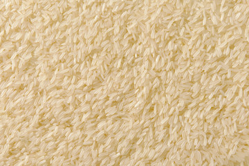 uncooked white jasmine rice
