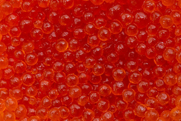 the red caviar