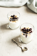 Glass 0f yogurt with muesli and black currants