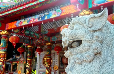 Obraz premium White chinese guardian lion with chinese temple background