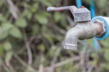 Close up metal blue water faucet Old in the forest. Water shorta