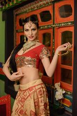 Fototapeta na wymiar Girl in Indian national costume