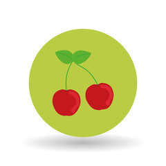 fruit over circle  design, vector illustration
