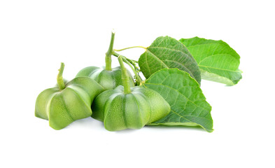 sacha inchi on the white background