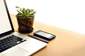 stylish silver laptop pen phone and succulent on wooden craft ba