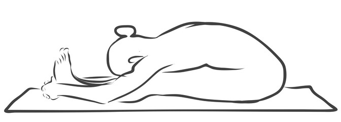 Paschimottanasana, die sitzende Vorbeige, Yoga Figur