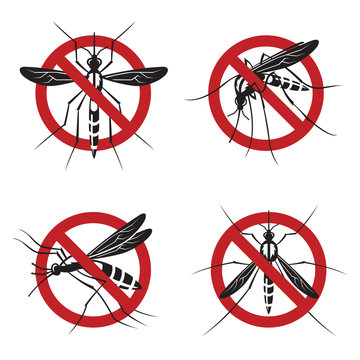 collection of four mosquito prohibited sign
