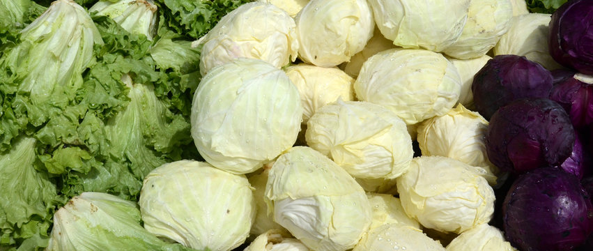 spring cabbage for sale in a market