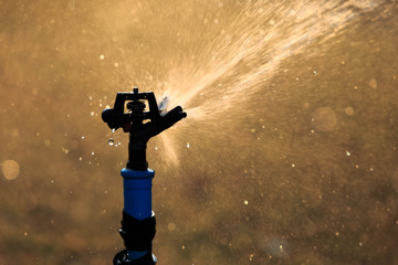 Fototapeta premium Sprinkler system for water splash