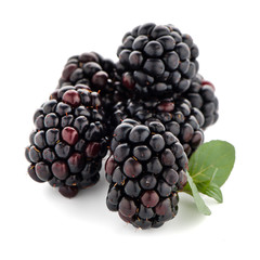 Blackberries with leaves