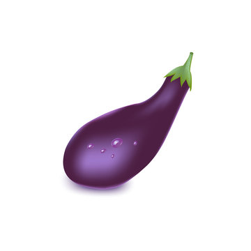 Ripe eggplant isolated on white background