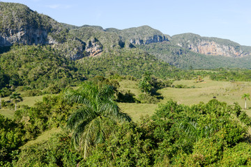 Fototapeta na wymiar The valley of Vinales on Cuba