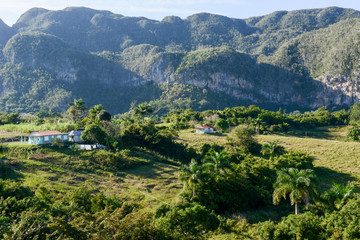Fototapeta na wymiar The valley of Vinales on Cuba