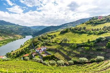 Fotobehang Landschap van de Douro-rivierregio in Portugal - Wijngaarden © Simon Dannhauer