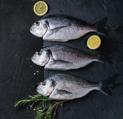 Raw bream fish with herbs