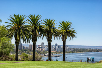 Obraz premium Kings Park overlooking Perth in Western Australia