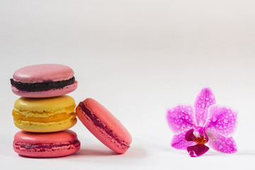 Colored macaroons with Orchid on white