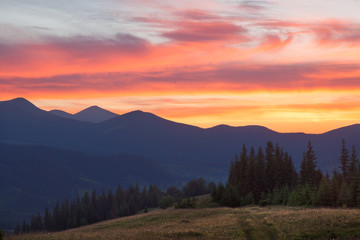Colorful summer sunset. Carpathians, Ukraine.