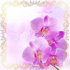 Naklejka na ściany i meble Pink orchids with vintage golden ornament