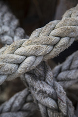 Fototapeta na wymiar Boat rope