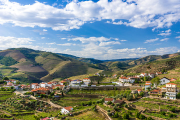 Fototapeta na wymiar Landscape of the Douro river regionin Portugal - Vineyards