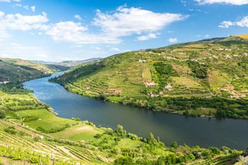 Landscape of the Douro river regionin Portugal -  Vineyards