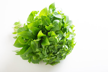 A bunch of basil and oregano on a white background