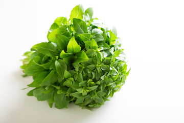 Plakat A bunch of basil and oregano on a white background