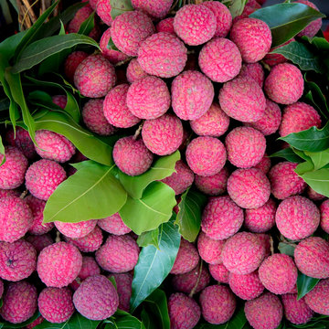fresh lychees