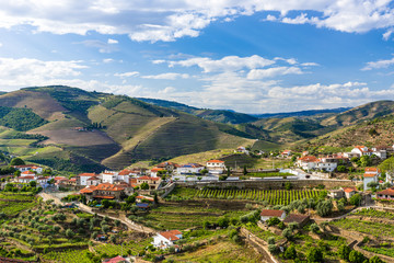 Landscape of the Douro river regionin Portugal -  Vineyards