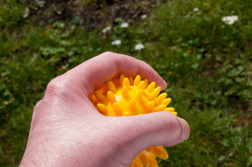 Hand Reha