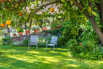 Relaxing in beautiful garden with Chairs