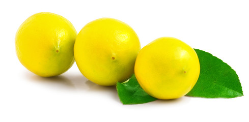 Three wet lemons on white background