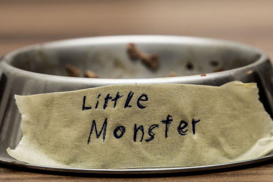 Empty Metal Pet Food Dish with Funny Name Label