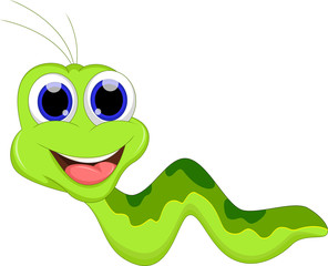 Cute caterpillar cartoon
