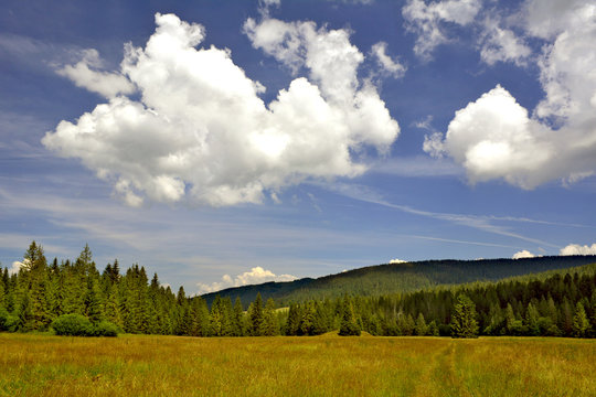 Fototapeta W dolinie Juraniowej