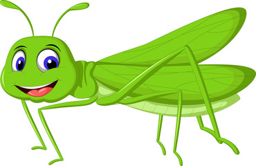 green locust cartoon