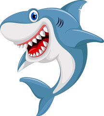 Fototapeta premium angry shark cartoon