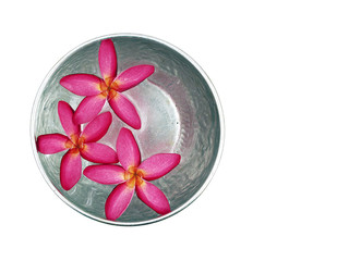 red frangipani or plumeria flower floating on water surface in silver metal bowl isolated on white background, tropical flower and aluminum utensil for thailand culture songkran festival, top view