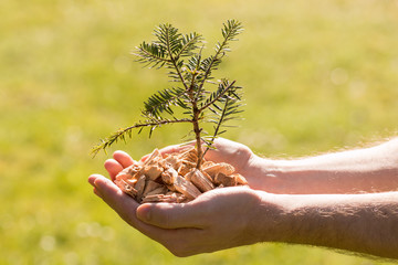 Hackschnitzel - Nachhaltige Energie