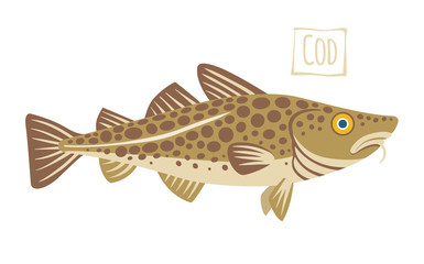 Cod, vector cartoon illustration