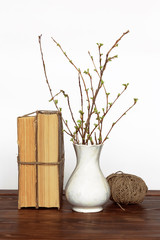 Old books, vase with twigs and thread