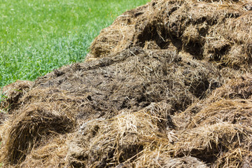 Pile of manure