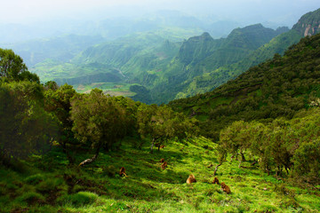 Landscape of Siemen mountains in Ethiopia
